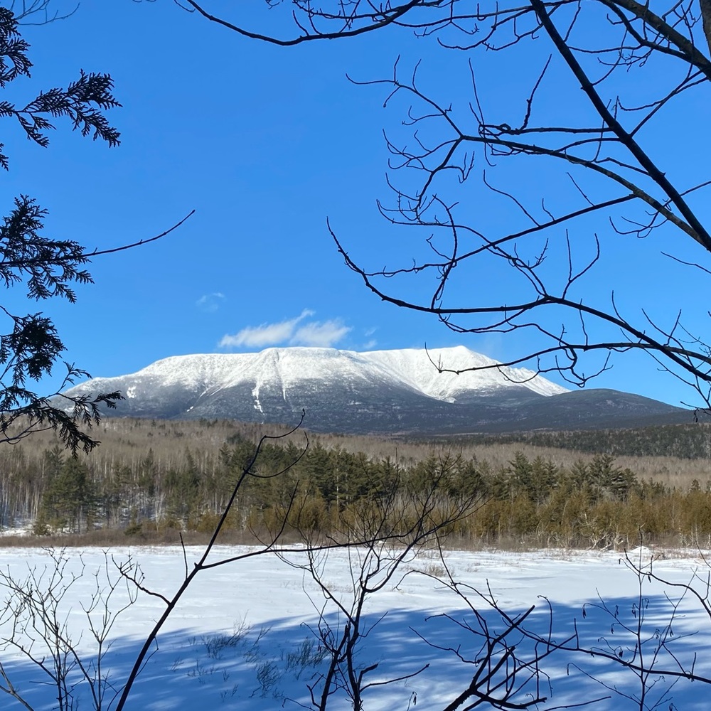 Meet your Posher, Tobin